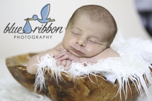 Blue Ribbon Photography