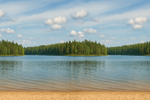 Northern Lens Studio