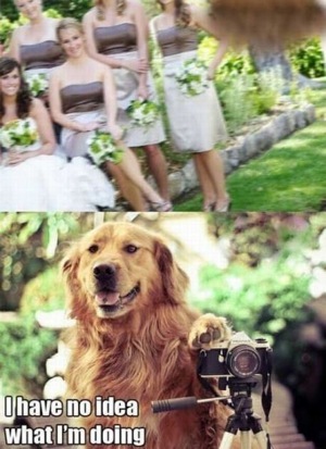 Photographer Humour