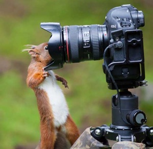 Photographer Humour